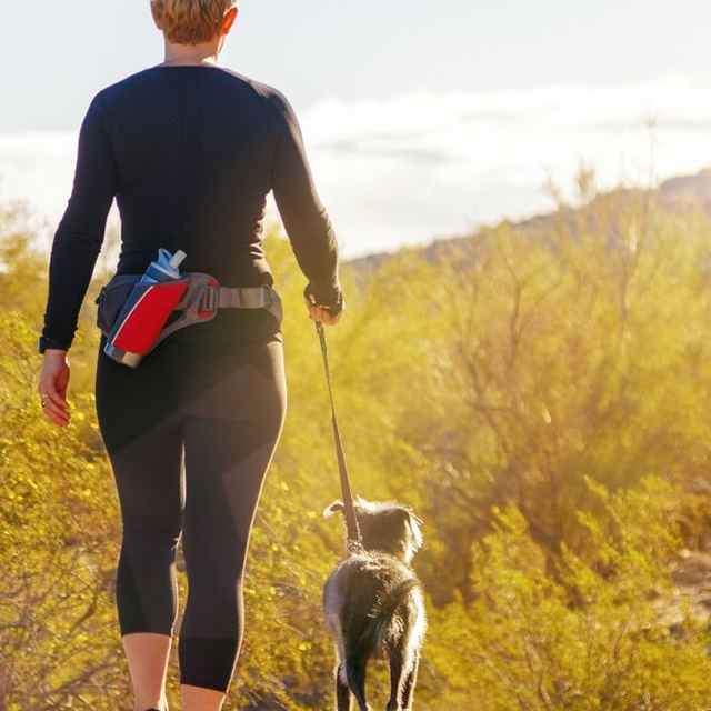 Hiking a desert trail with a dog near Anthem, Arizona