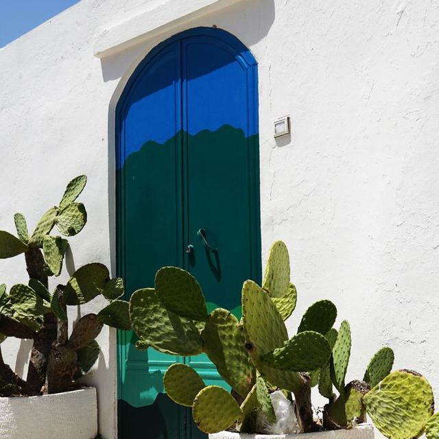 Blue door and prickly pear in Maricopa, Arizona